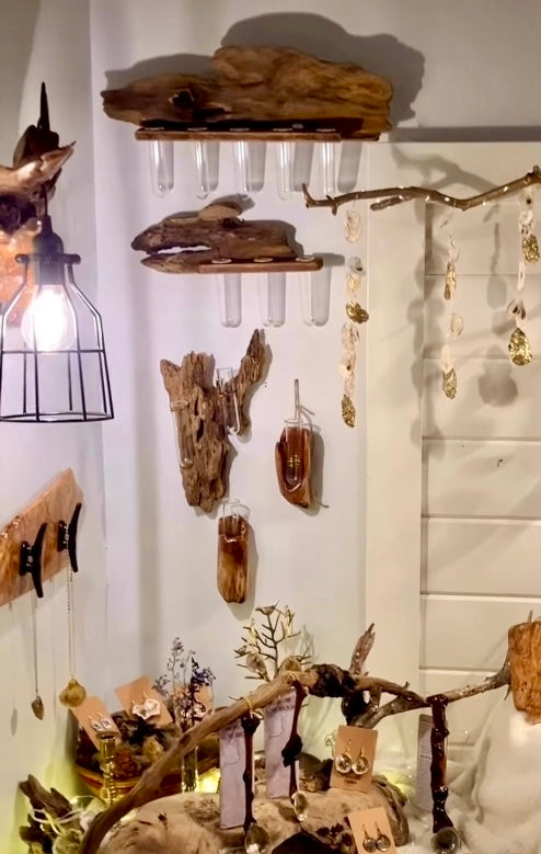 Wall-Mounted Driftwood Propagation System with 3 Cylinders - Great for Flower Arrangements.