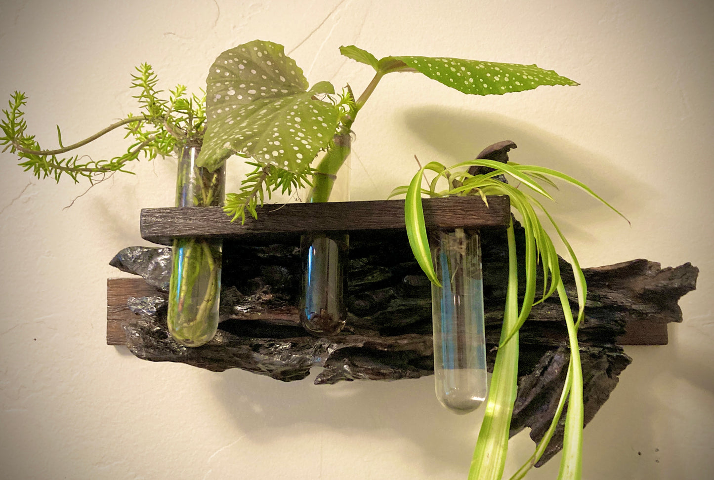 Groovy Propagation