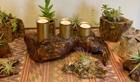 Grace O'Malley - Driftwood Candelabra