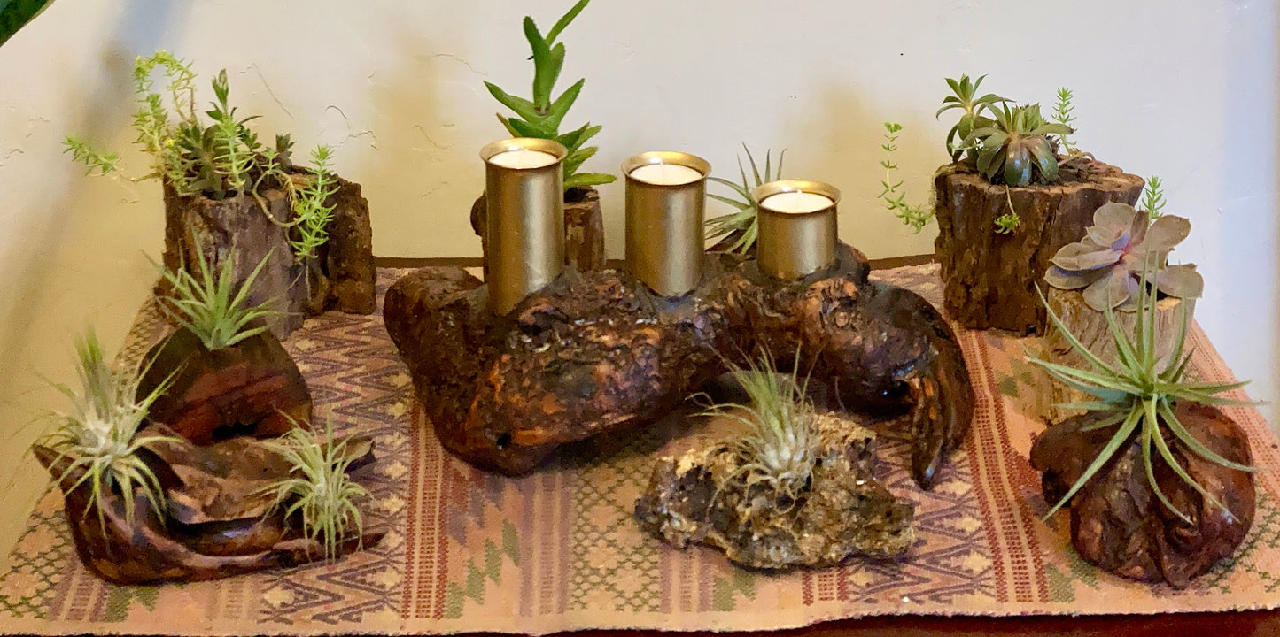 Grace O'Malley - Driftwood Candelabra