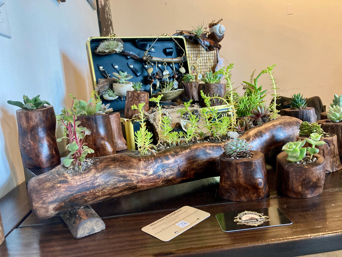 Driftwood Planter with Succulent