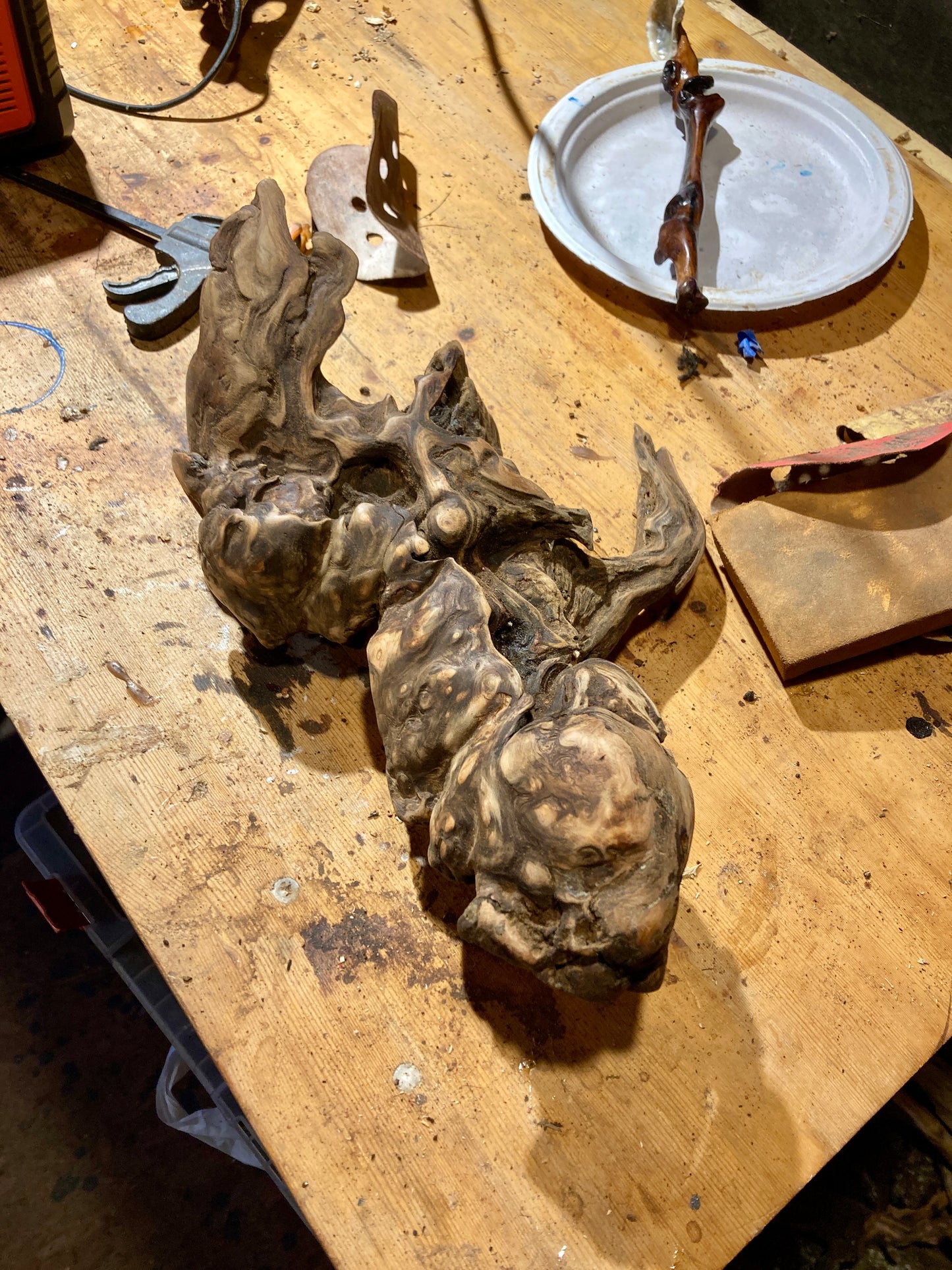 The Sea Monster - Burled Driftwood Sculpted into Pendant Lamp