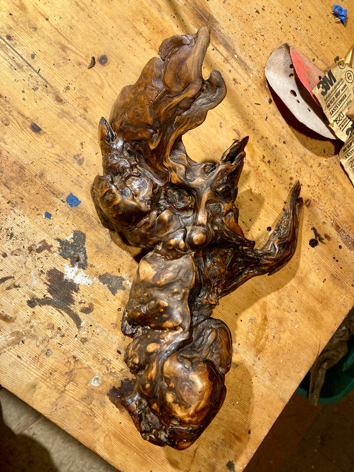 The Sea Monster - Burled Driftwood Sculpted into Pendant Lamp