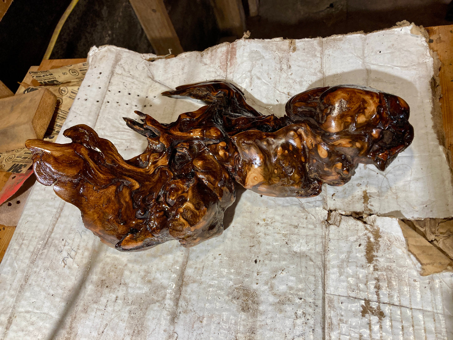 The Sea Monster - Burled Driftwood Sculpted into Pendant Lamp