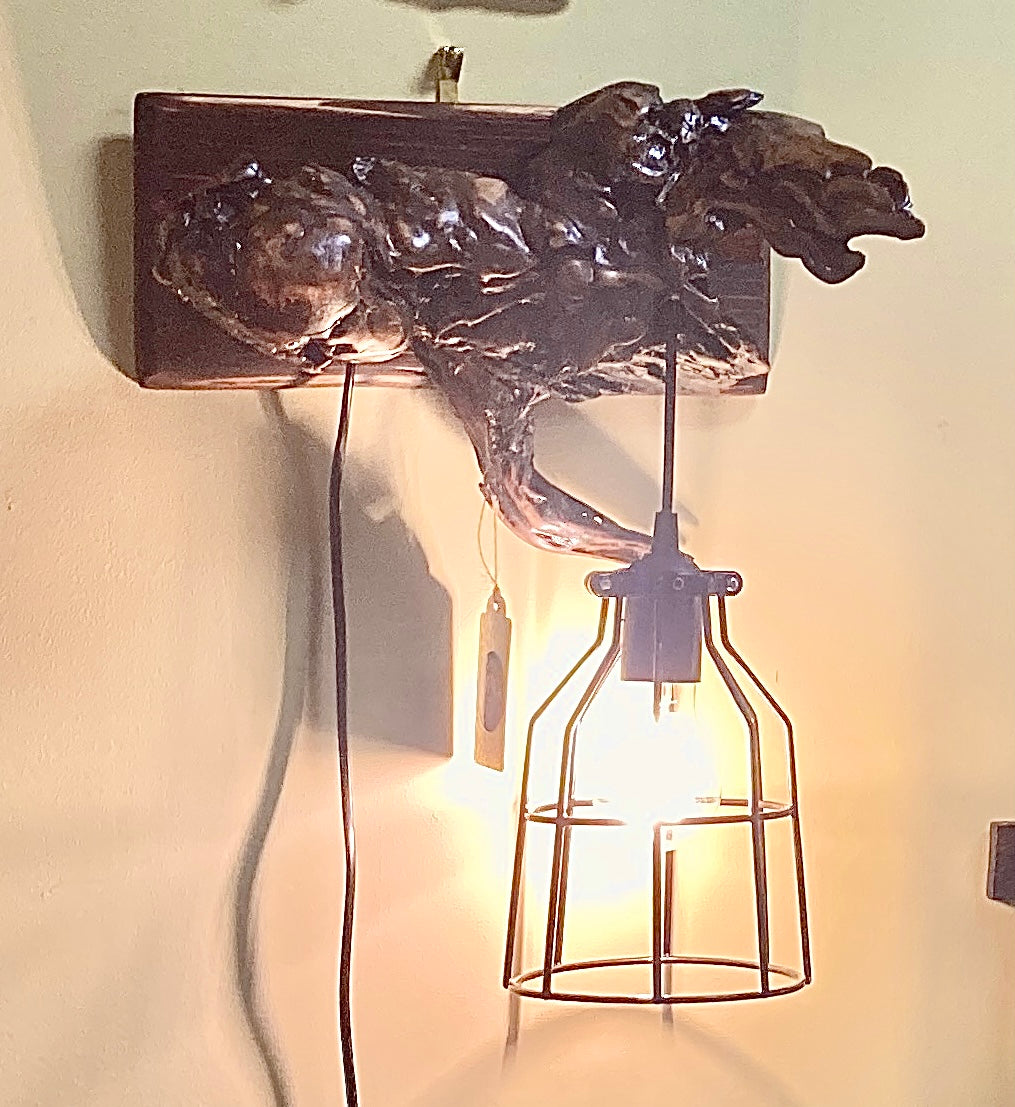 The Sea Monster - Burled Driftwood Sculpted into Pendant Lamp