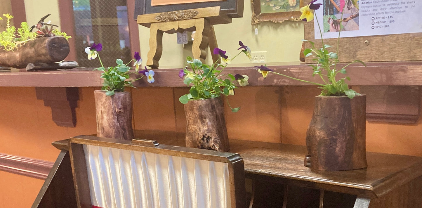Forest Finds - Planter with Succulent