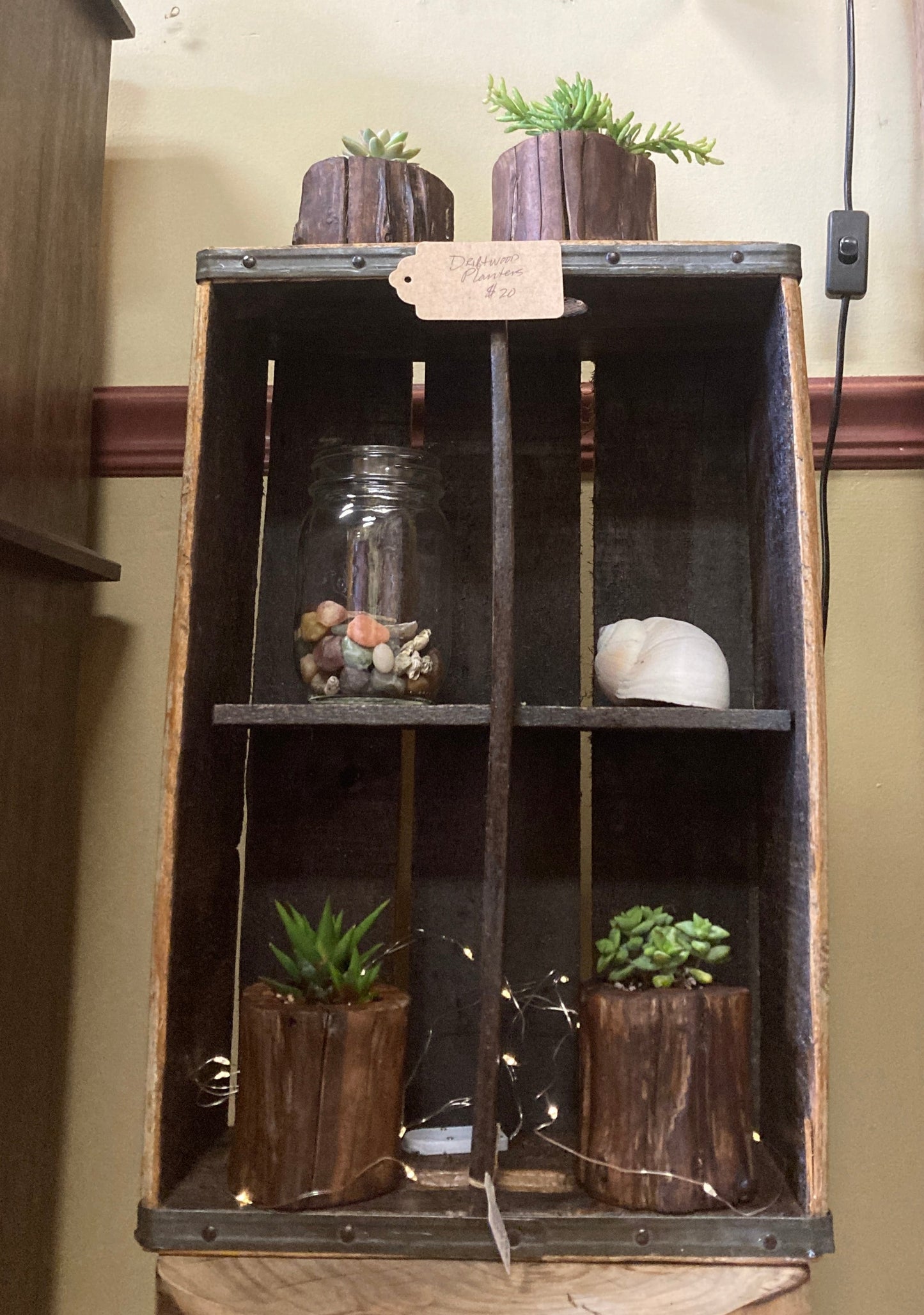 Driftwood Planter with Succulent