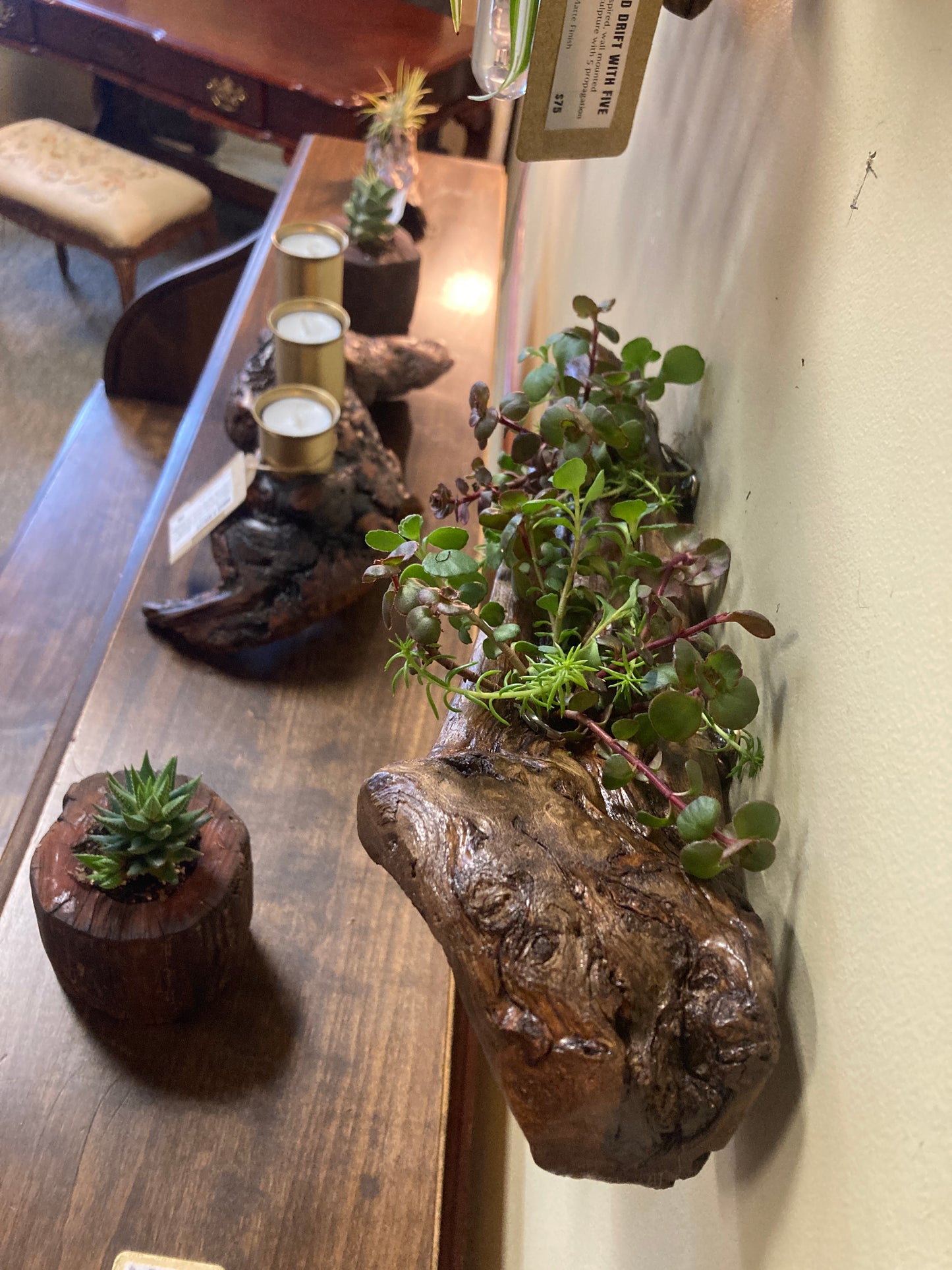 Grace O'Malley - Driftwood Candelabra