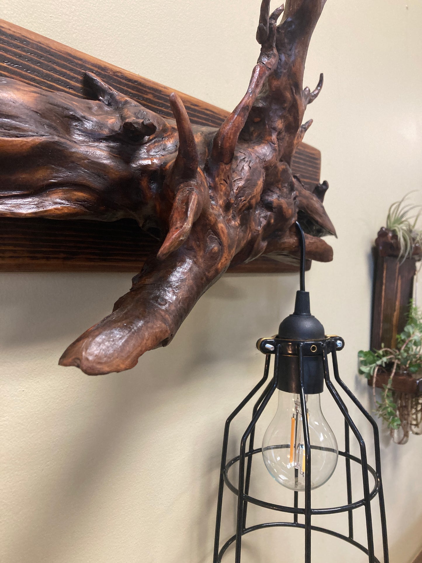 Rooted in Light - Driftwood Root Sculpted into Pendant Lamp