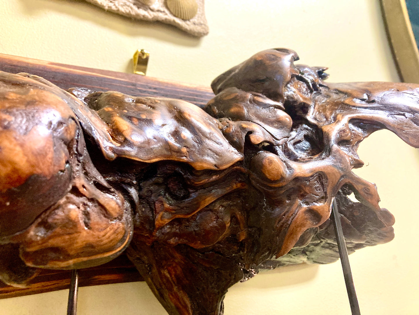 The Sea Monster - Burled Driftwood Sculpted into Pendant Lamp