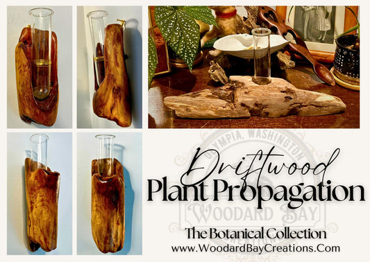 Driftwood Plant Propagation Systems - Single Cylinder. Great for flower arrangements, fresh herbs, cloning, and more!