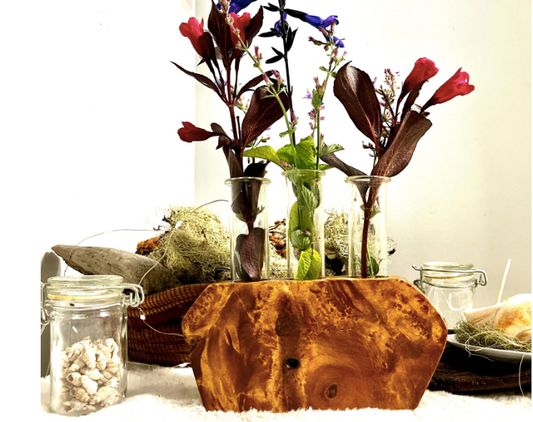Marbled Maple Plant Propagation with 3 Cylinders. Flower arrangements, fresh herbs, cloning, and more!