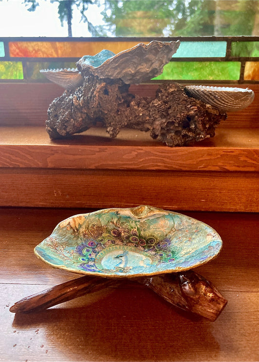 Geoduck Shell Jewelry Dish on a Hand-Carved Madrona Driftwood Base