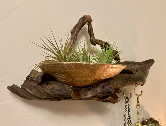 Hanging Caddy, Driftwood and Geoduck Shell - Wall-Mounted Coastal Decor, Organizer