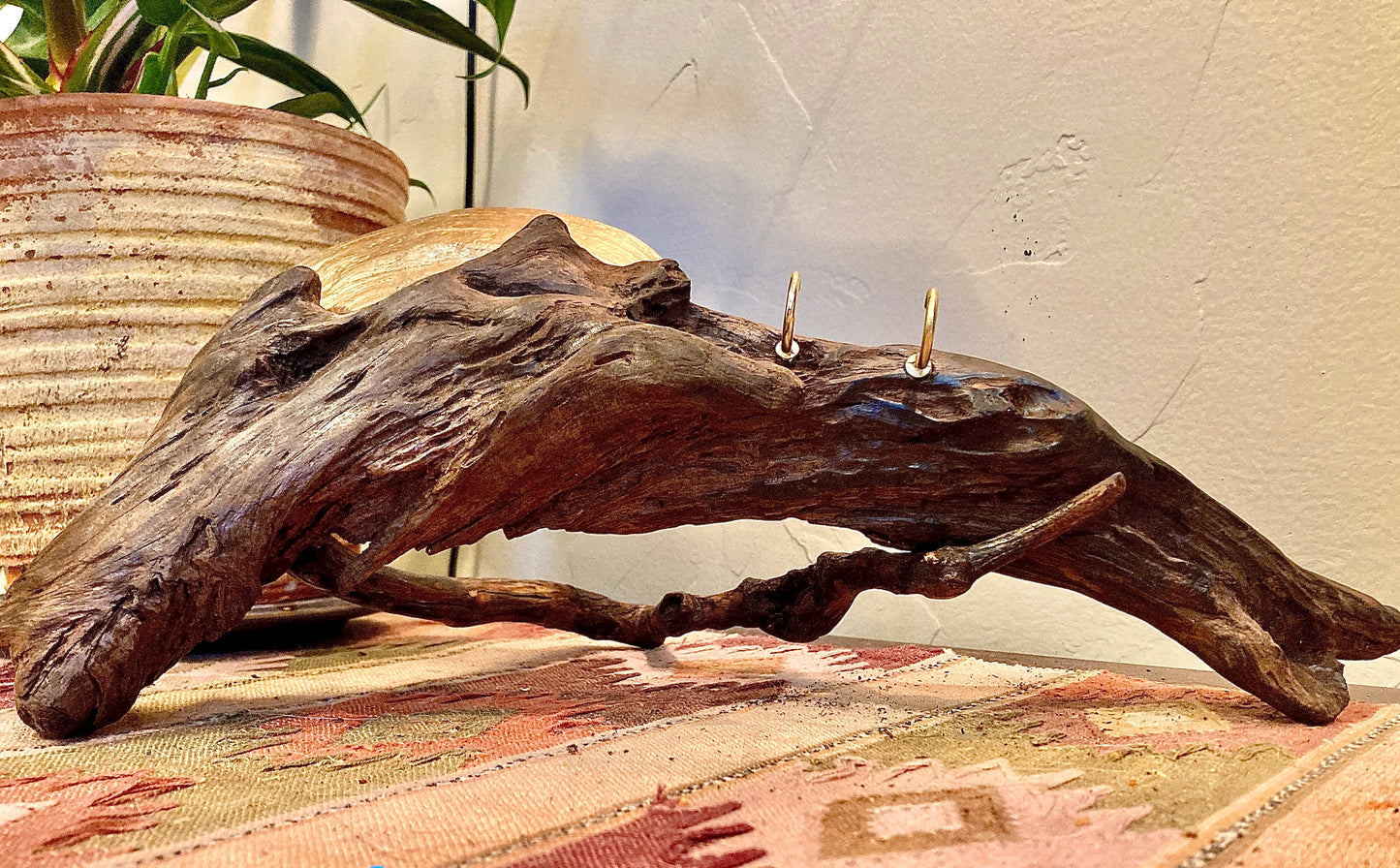 Hanging Caddy, Driftwood and Geoduck Shell - Wall-Mounted Coastal Decor, Organizer