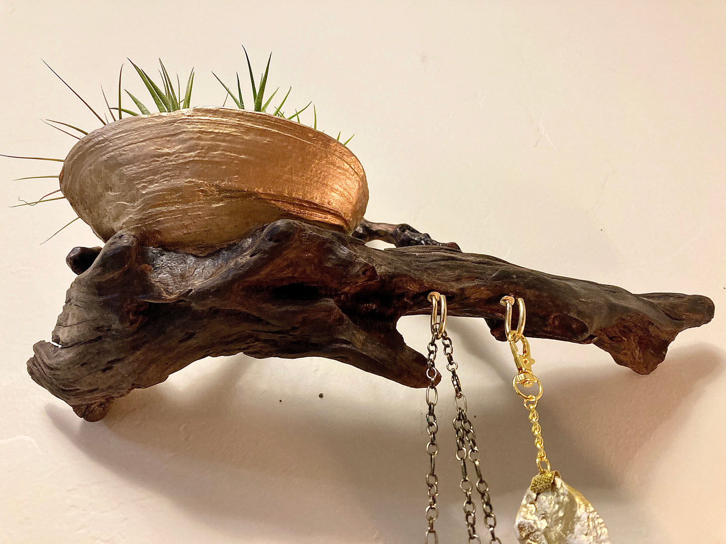 Hanging Caddy, Driftwood and Geoduck Shell - Wall-Mounted Coastal Decor, Organizer