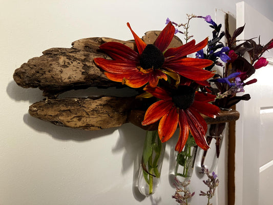 Wall-Mounted Driftwood Propagation System with 3 Cylinders - Great for Flower Arrangements.