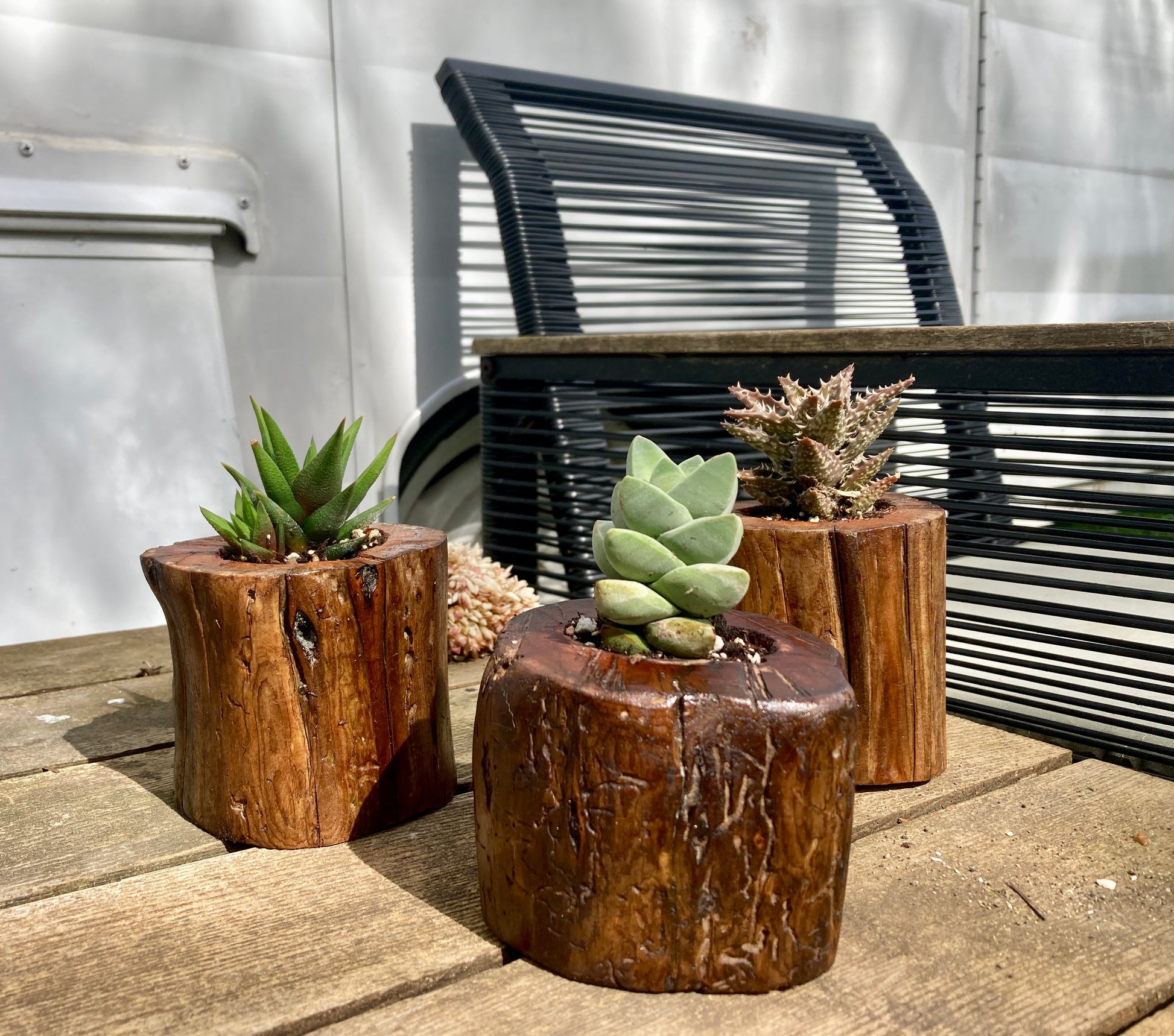 driftwood plant pot Driftwood Planter with Succulent – Woodard Bay Creations