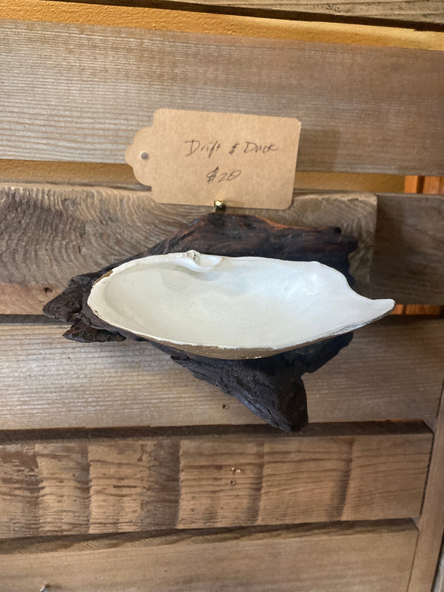 Driftwood and Geoduck Shell - Wall-Mounted Caddy